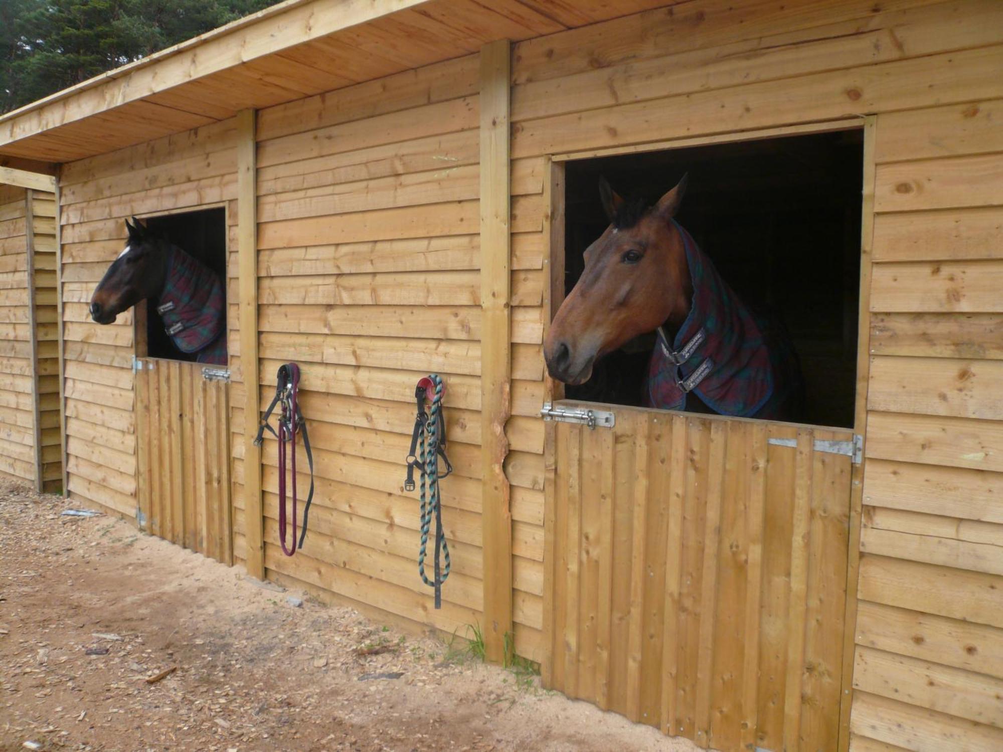 Tigh An Each B&B & Laggan Glamping Newtonmore Eksteriør bilde
